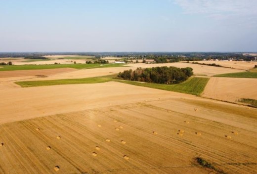 Aiuti "de minimis": aumento del massimale per l'agricoltura